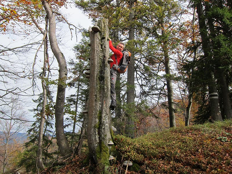 geissangerkogel